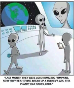1668253150239.png