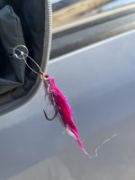 IMG_1788.jpg