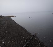 B09B7A12-FAD5-457A-A562-59E2E744AE03.jpeg B09B7A12-FAD5-457A-A562-59E2E744AE03.jpeg