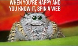 E6D140D9-7D9D-4EC3-BB1D-44EF9A0B4E6F.jpeg