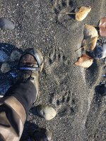 IMG_5391[1].JPG