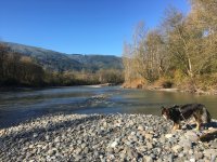 IMG_5378[1].JPG
