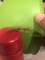 pigfly.jpg
