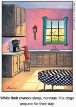 FB_IMG_1668560520869.jpg