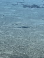 7F2C1472-3645-4F5C-8D64-42FB16F9D78A.jpeg