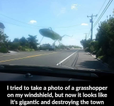 1668640748445.png