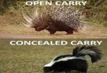 594A5738-012D-4602-9C24-E8AF300D0FB4.jpeg
