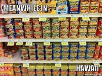 Hawaii - 1.jpeg