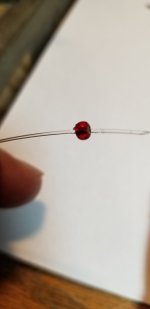 20221118_112825.jpg