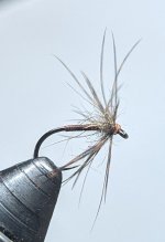 PXL_20221119_022126869.MP.jpg