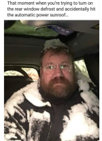 1668879217257.png