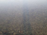EE3645BD-7D84-46EA-B758-16FAFC1185C1.jpeg EE3645BD-7D84-46EA-B758-16FAFC1185C1.jpeg