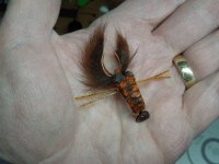 DSCN2658.JPG