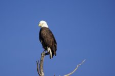 A6325F86-27EB-4F45-A38C-EC06E63AD2A4_1_201_a.jpeg