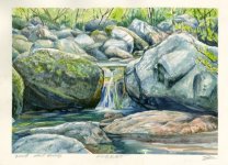 Rivulet copy.jpg