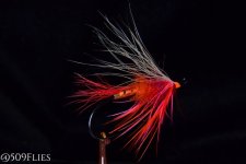 DSC_0103 - edit 1.jpg
