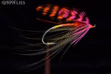 DSC_0095 - edit 1 (1).jpg