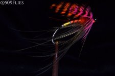 DSC_0096 - edit 1 (1).jpg