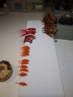 IMG_20220206_133113241.jpg
