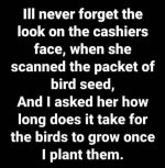 Seed.jpg