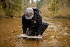 BigFishLittleWater.jpg BigFishLittleWater.jpg