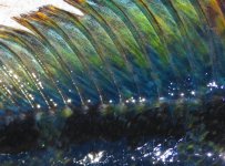 20191203_164529.jpg 20191203_164529.jpg