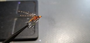 20220207_155641.jpg