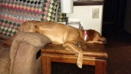 IMG_20161215_164621408.jpg