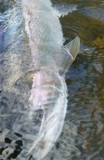 20171001_132521(0)~2.jpg 20171001_132521(0)~2.jpg