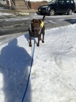 9360D0D7-2E92-4A25-9F1C-95145F39AA00.jpeg