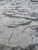 4075E3AB-6038-4835-8626-7433B211C071.jpeg