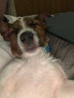 IMG_20220127_193500.jpg