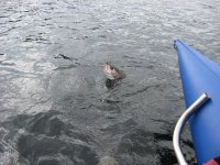 IMG_0832.JPG
