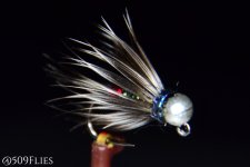 DSC_0310 - edit 1 (1).jpg