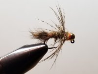 20221121_185626.jpg