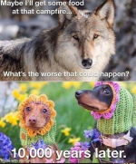 1669206723997.png
