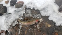 20221123_113619.jpg 20221123_113619.jpg