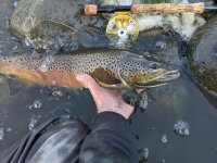 PXL_20221118_233041154.MP.jpg