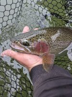 PXL_20221120_170559206.MP.jpg