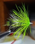 IMG_20221124_061743402.jpg