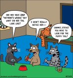 FB_IMG_1669307173892.jpg