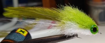 IMG_20221124_132045960.jpg