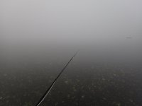 4A8AE525-BB82-494C-893C-A240080AC43B.jpeg 4A8AE525-BB82-494C-893C-A240080AC43B.jpeg
