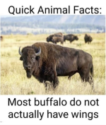 1669463113450.png