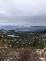9766EB90-D50E-4A83-B3E7-0009DEE55EA1.jpeg