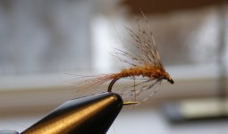 Squirrel Tail Nymph.JPG
