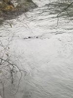 20221126_111324.jpg 20221126_111324.jpg