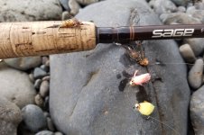 20221127_flies.jpg
