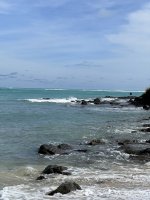 F03101F1-EB6D-42FA-B247-D3F0282DF15C.jpeg