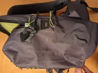 PXL_20221127_053426356.jpg